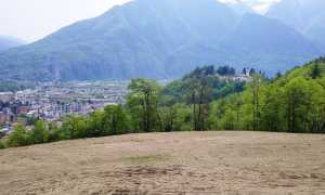 93831985 1169593466722183 32912454648332288 n