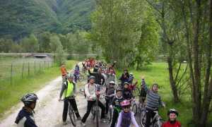 980576 513330855386875 1367763689 o