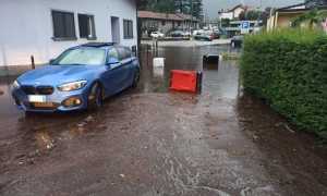 9BC96961 6160 4979 A964 E48BC6680C94