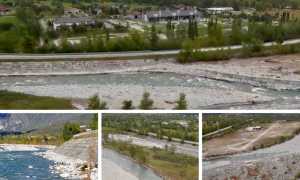 AD02D62A 9AAA 438D 95AB B3B00BEA8745