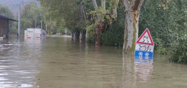 AF391E34 CD7D 4941 9764 126BCA06B9D0