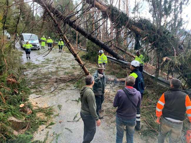 AIB Domobianca alberi abbattuti