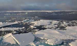 Arctic ice