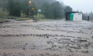 B7A5B478 CD62 4BC8 B970 D21F495F0D15