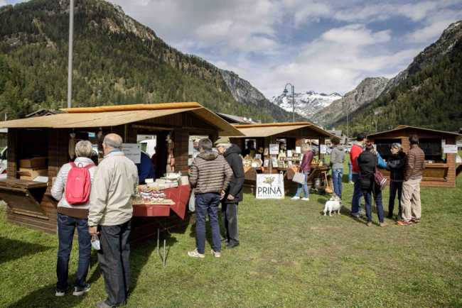 BC9FB649 B81D 466F 8F58 A8CD82C9CF60