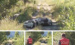 BE9D63AF 7557 456A A08A ACC890228C48