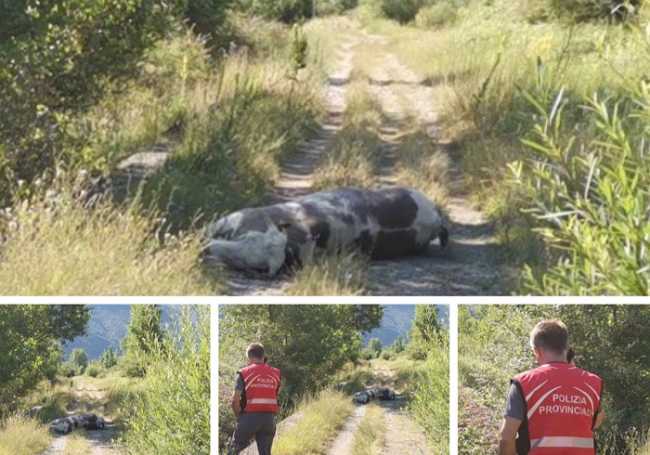 BE9D63AF 7557 456A A08A ACC890228C48