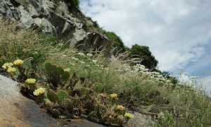 DSC07100 Paulette Lesage