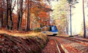 Ferrovia Vigezzina Centovalli Autumn 5