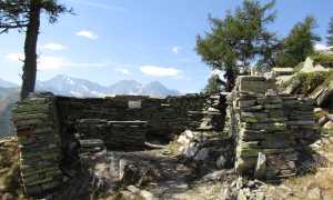 Fortino Bognanco copia