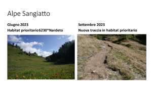 Foto Comunicato stampa