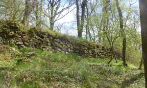 Fretterode Trockenmauer 2