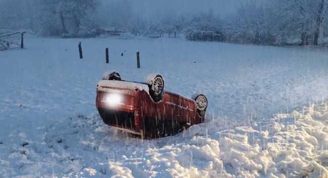 IMAGE 2024 11 21 181202