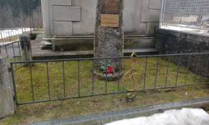 IMG 20250211 WA0019