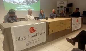 IMG20240120164807