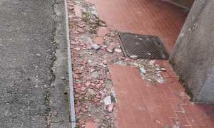 IMG 20220219 101659 resized 20220221 114529877 copia