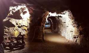 IMG 20240117 132644 6301