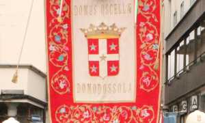 IMG 5519 copia