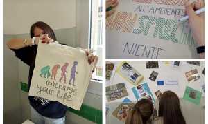 IMG 5886