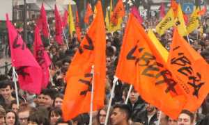 IMG 6187 copia