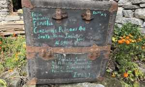 IMG 71351