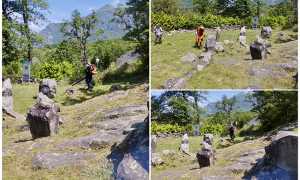 IMG 7174
