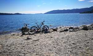 INTRA LAGO BICI CANE copia 2