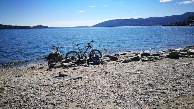 INTRA LAGO BICI CANE copia 2