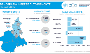 Infografica Demografia imprese IItrim 2024