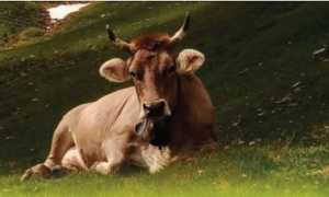 Locandina OB 05.05.24