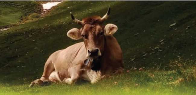 Locandina OB 05.05.24