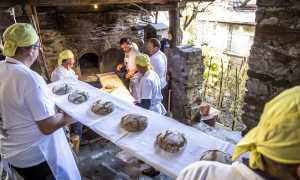 MTessaro TerraViva06 copia