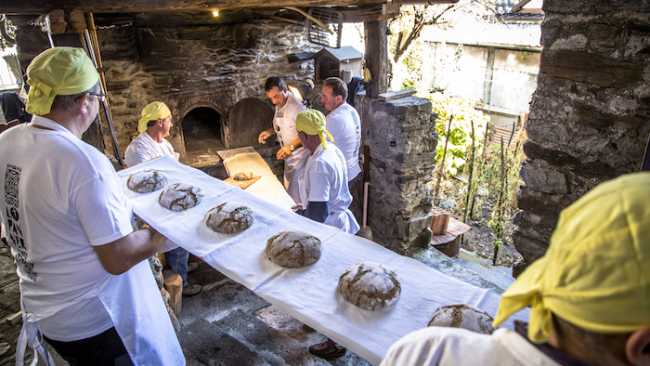 MTessaro TerraViva06 copia