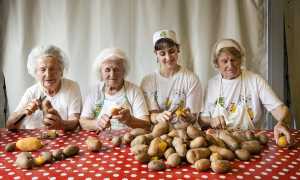 Montecrestese Sagra Patata 2023 1124 LR copia