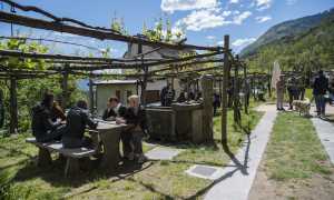 Ossola in Cantina ph. Simone Cappelli 106 copia