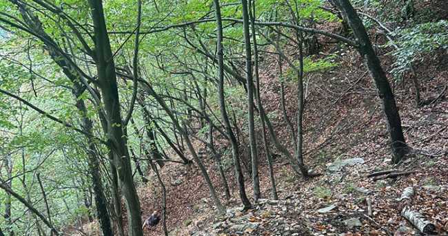 PHOTO 2025 08 29 10 01 07