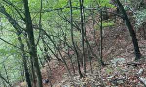 PHOTO 2025 08 29 10 01 07