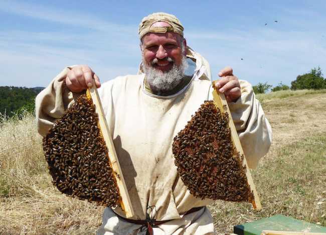 Paolo Fontana web