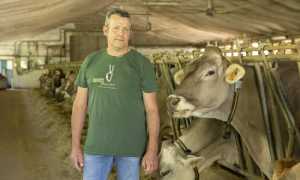 Presidente Ossolano Marco Giannoni