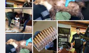 Progetto senza titolo1