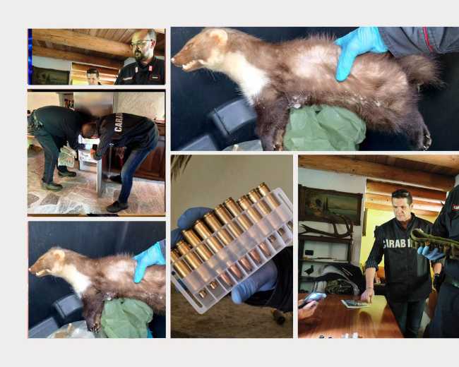 Progetto senza titolo1