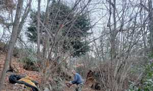 Pulizia sentiero Montorfano