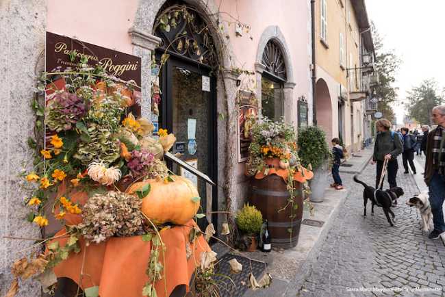 Santa Zucca 2017 1167 LR
