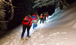 Schermata 2018 01 05 alle 17.53.09