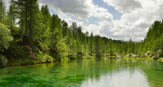 Schermata 2018 07 10 alle 18.37.44