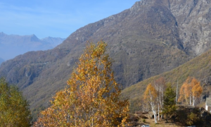 Schermata 2018 12 13 alle 10.34.55