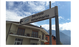 Schermata 2018 12 24 alle 11.58.56