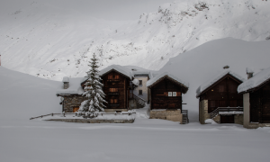 Schermata 2019 01 19 alle 11.17.56