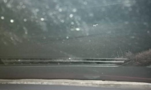 Schermata 2019 01 25 alle 20.10.02