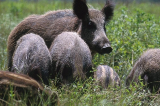 Schermata 2019 02 28 alle 17.45.47